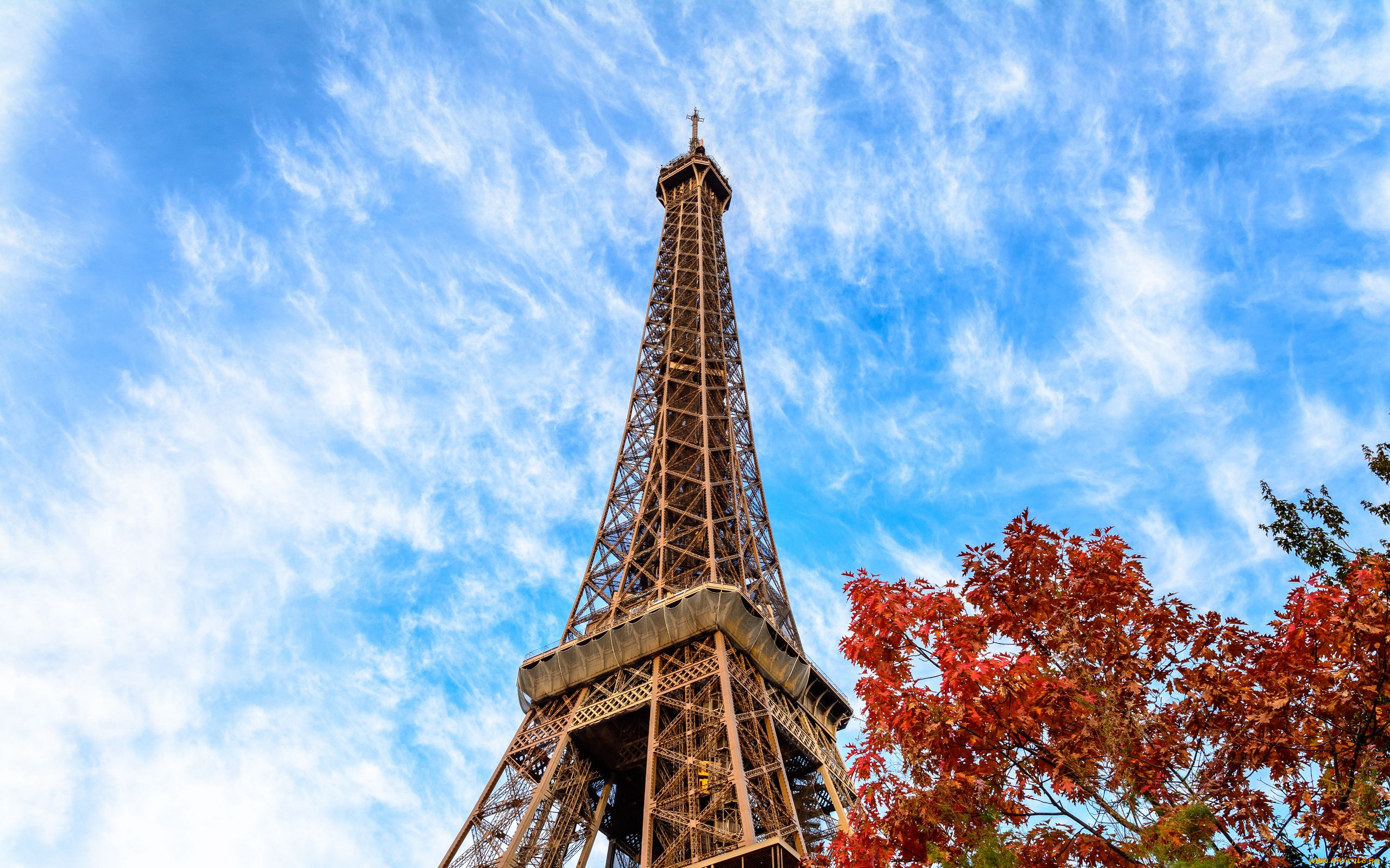 eiffel tower, ,  , , eiffel, tower